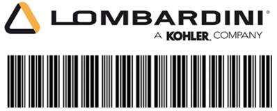  12 445 02-S STRAP Lombardini Kohler