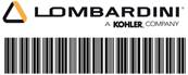  12 038 01-S DIPSTICK/CAP ASSY (BLACK) Lombardini Kohler
