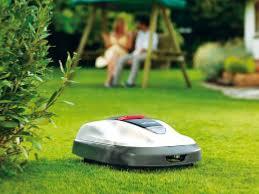 Détourage d'arbre Honda Miimo dans l’Essonne et les Yvelines  