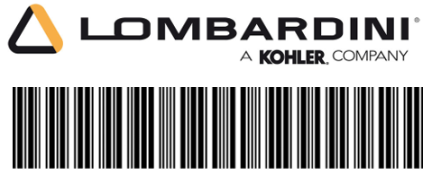  24 041 02-S GASKET USE 24 041 49-S Lombardini Kohler
